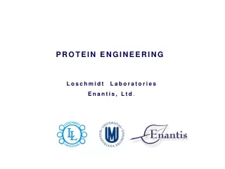 Loschmidt Laboratories Enantis , Ltd .