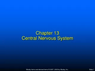 Chapter 13 Central Nervous System
