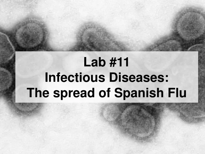 lab 11 infectious diseases the spread of spanish flu