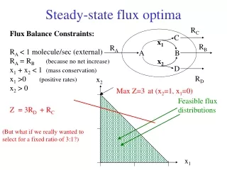 Steady-state flux optima