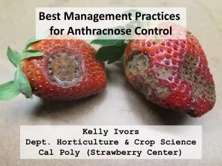 Best Management Practices  for Anthracnose Control