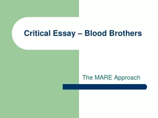 Critical Essay – Blood Brothers