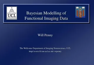 Bayesian Modelling of  Functional Imaging Data