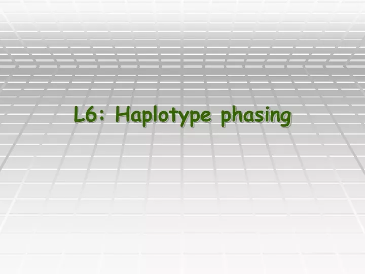 l6 haplotype phasing