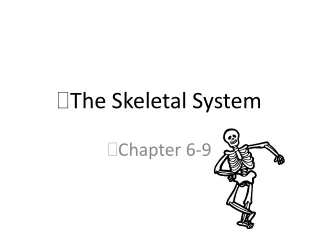 The Skeletal System