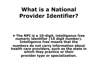 What is a National Provider Identifier?