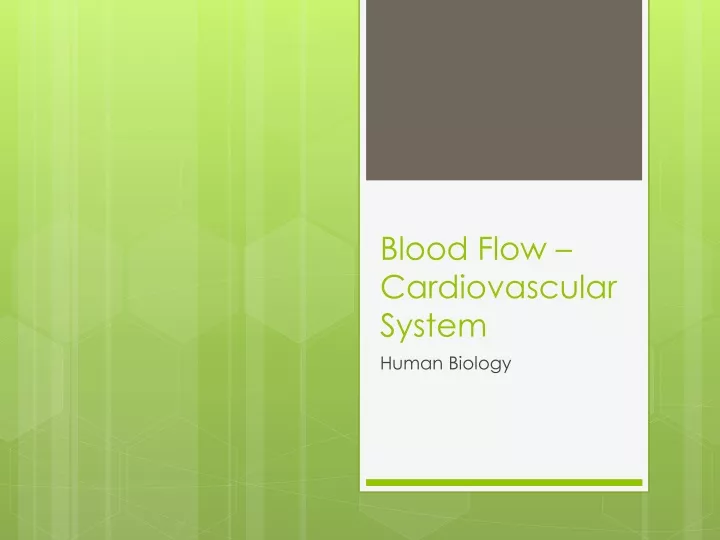 blood flow cardiovascular system