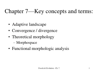 Chapter 7—Key concepts and terms: