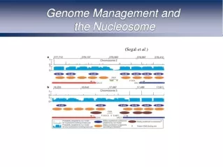 Genome Management and  the Nucleosome