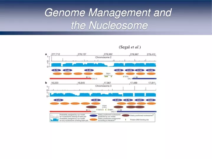 genome management and the nucleosome