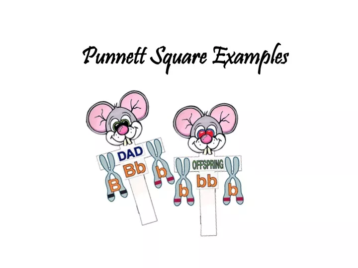punnett square examples
