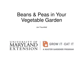 Beans &amp; Peas in Your Vegetable Garden