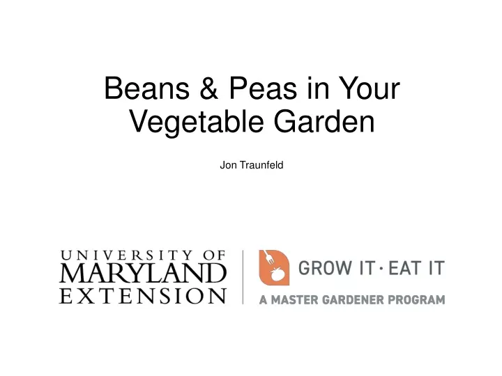 beans peas in your vegetable garden