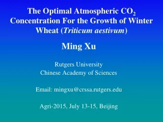 The Optimal Atmospheric CO 2  Concentration For the Growth of Winter Wheat ( Triticum aestivum )