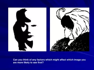 Can you think of any factors which might affect which image you are more likely to see first?