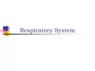 Respiratory System