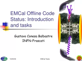 EMCal Offline Code Status: Introduction and tasks
