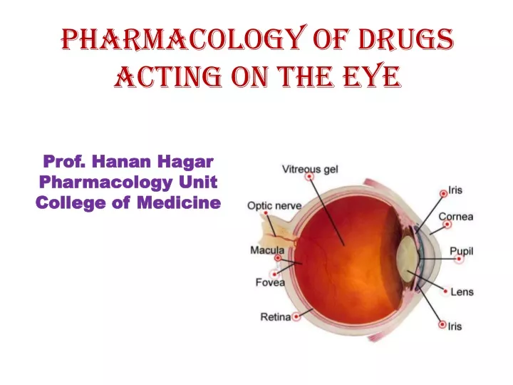 pharmacology of drugs acting on the eye