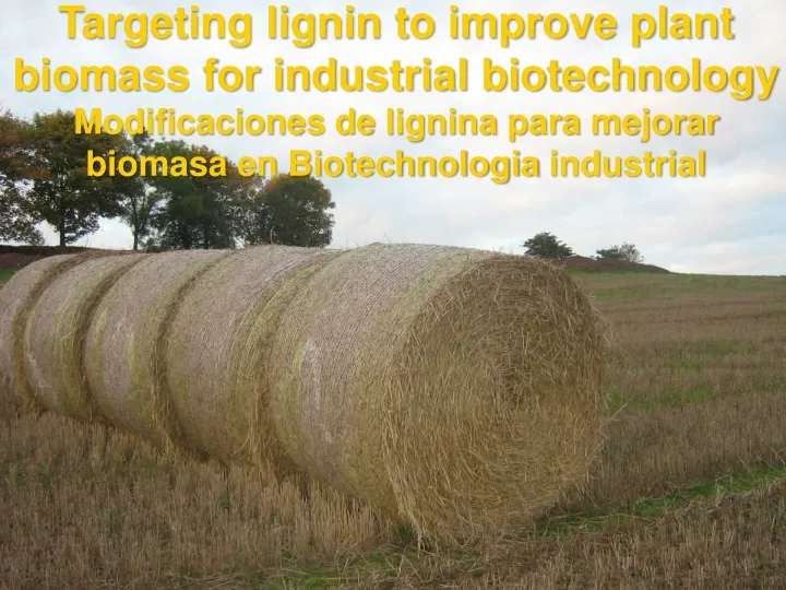 targeting lignin to improve plant biomass