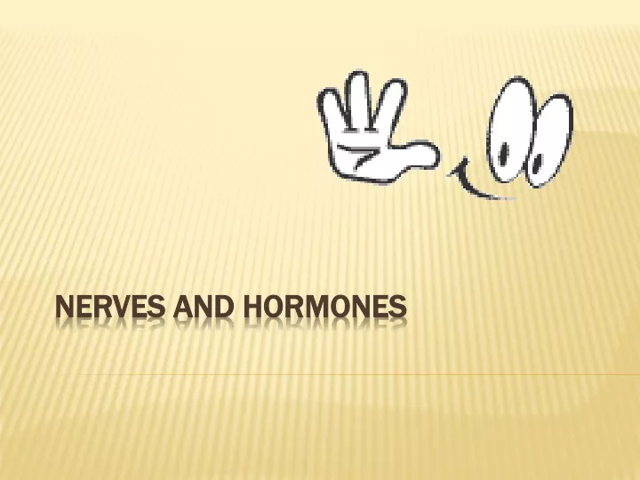 nerves and hormones