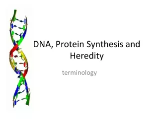 DNA, Protein Synthesis and Heredity