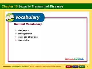 Content Vocabulary