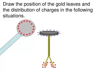 Draw the position of the gold leaves and the distribution of charges in the following situations .