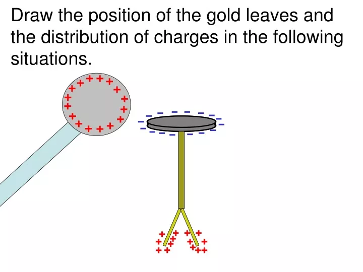 draw the position of the gold leaves