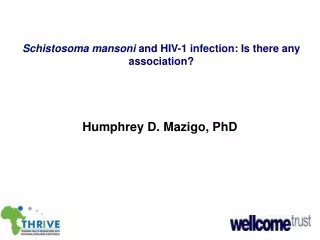 Schistosoma mansoni  and HIV-1 infection: Is there any association?
