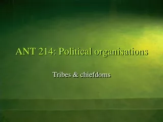 ANT 214: Political organisations