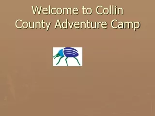 Welcome to Collin County Adventure Camp