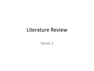 Literature Review