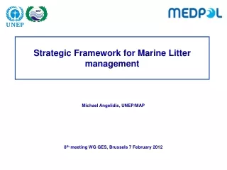 Strategic Framework for Marine Litter management