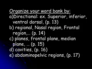 Organize your word bank by: Directional: ex. Superior, inferior, ventral dorsal, (p. 13)