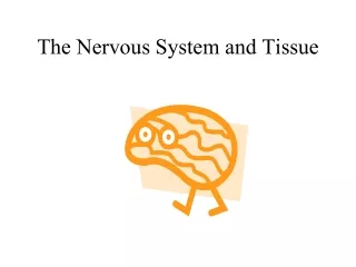 The Nervous System and Tissue
