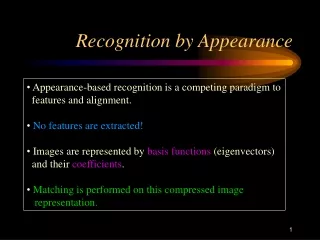 Recognition by Appearance
