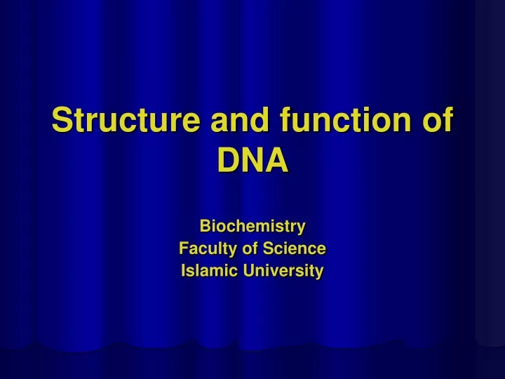 structure and function of dna