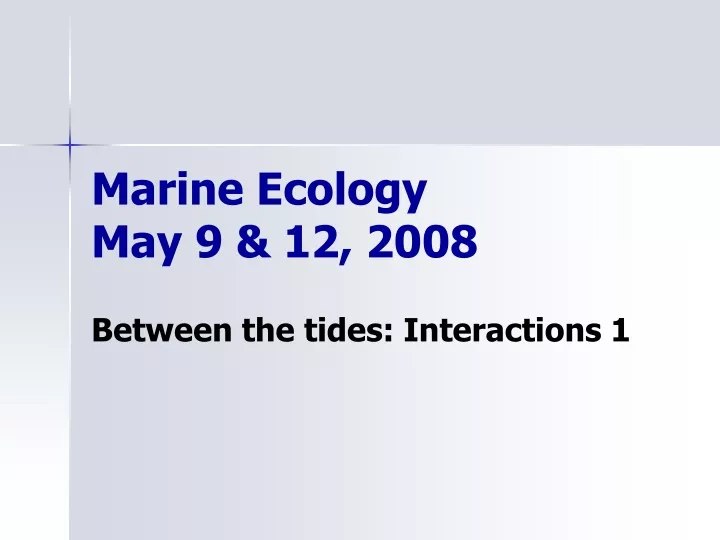 marine ecology may 9 12 2008