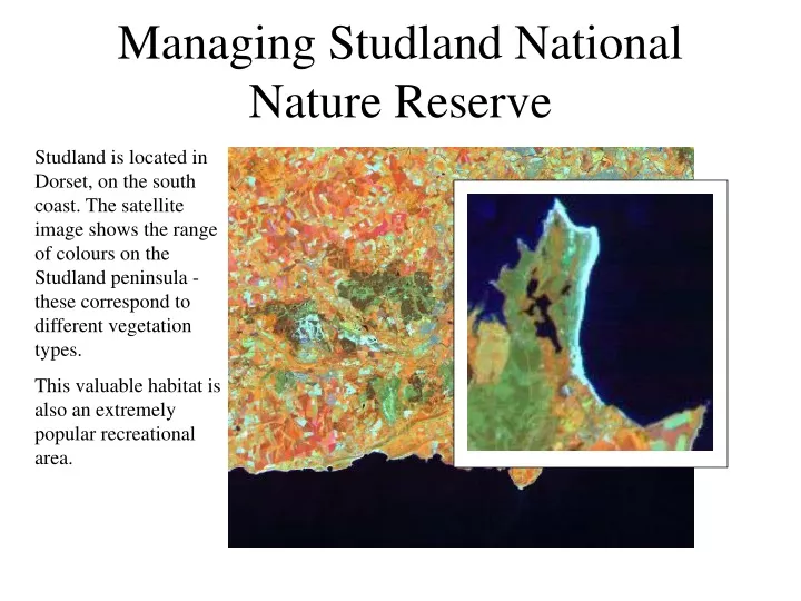 managing studland national nature reserve