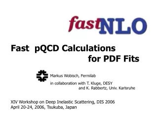 Fast  pQCD Calculations                               for PDF Fits