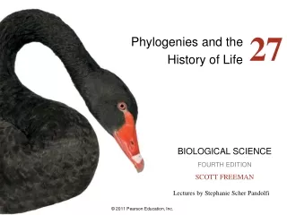 Phylogenies and the  History of Life