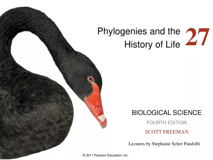 phylogenies and the history of life