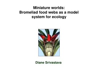 Miniature worlds: Bromeliad food webs as a model system for ecology