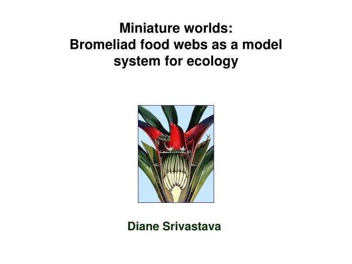 miniature worlds bromeliad food webs as a model