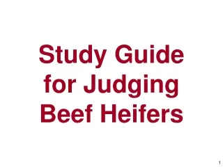 Study Guide for Judging Beef Heifers