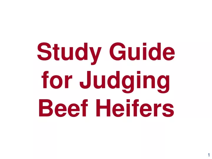 study guide for judging beef heifers