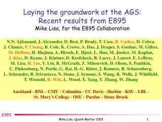 Laying the groundwork at the AGS: Recent results from E895 Mike Lisa, for the E895 Collaboration
