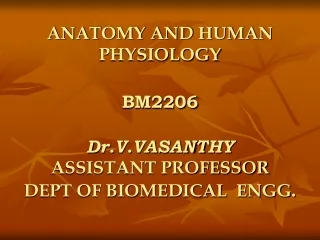 ANATOMY AND HUMAN PHYSIOLOGY BM2206 Dr.V.VASANTHY ASSISTANT PROFESSOR DEPT OF BIOMEDICAL  ENGG .