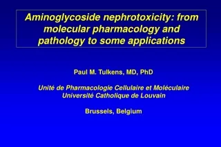 Aminoglycoside nephrotoxicity: from molecular pharmacology and pathology to some applications