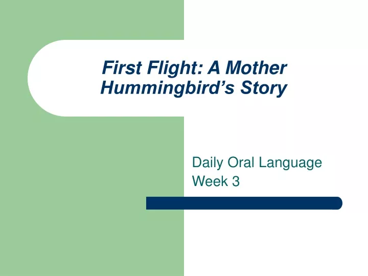 first flight a mother hummingbird s story